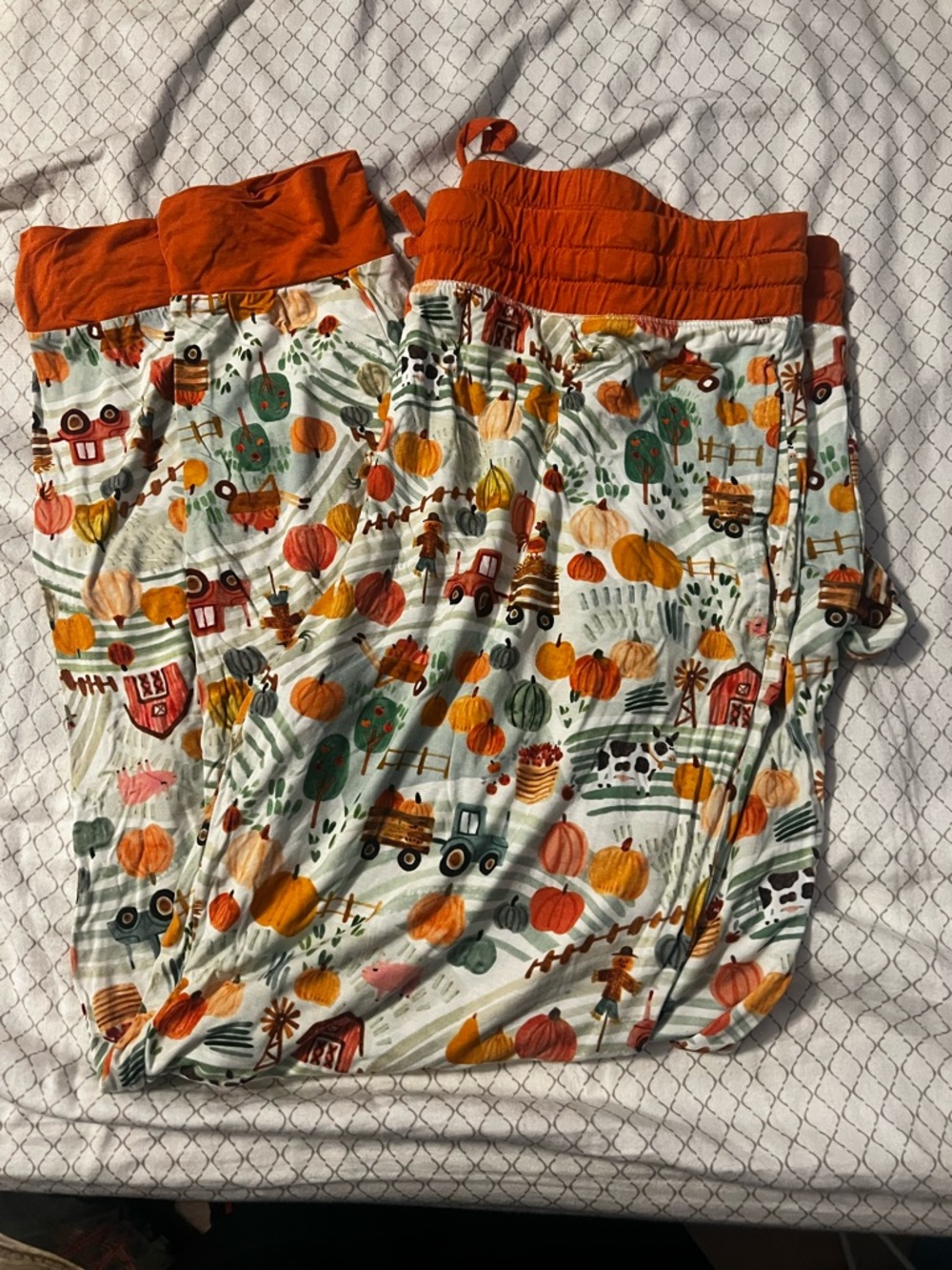Little sleepies farm stand pajama pants